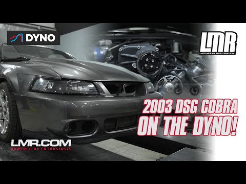 Whippled 2003 DSG Cobra Mustang Makes MASSIVE POWER