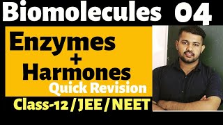 Biomolecules 04 | Enzymes and Harmones | Class 12