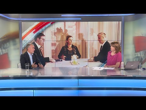 Milivoje Mihajlović o dijalogu u Briselu