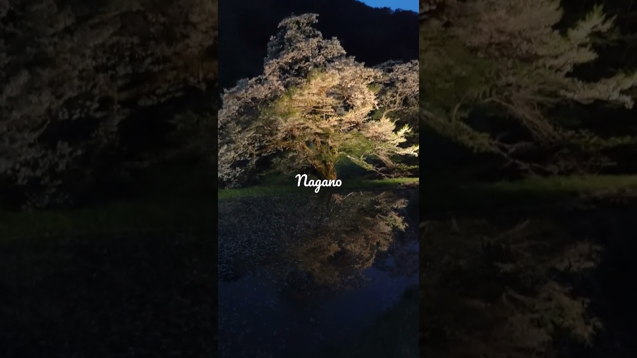 YouTube Short thumbnail