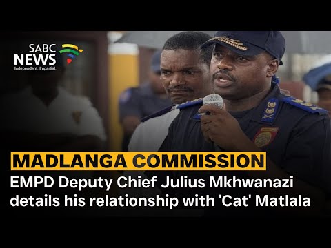 Madlanga Commission | EMPD Deputy Chief Julius Mkhwanazi details his relationship with 'Cat' Matlala