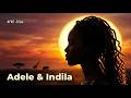 Adele Set Fire To The Rain Afro Soul Fusion Tiktok Trending Warm African Rhythms