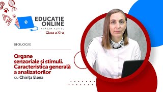 Organe senzoriale și stimuli. Caracteristica generală a analizatorilor