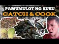 CREEK SNAIL O MAS KILALA SA PANGALAN NA SUSO CATCH COOK TICAO ISLAND MASBATE