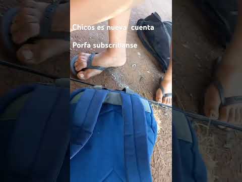 este lugar es en posadas  misiones  en arroyo  mártires.  chacabuco y costanera