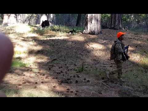 Tus tub yos tua nas hnub ob