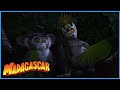 DreamWorks Madagascar Tender Loving Thing Madagascar Movie Clip