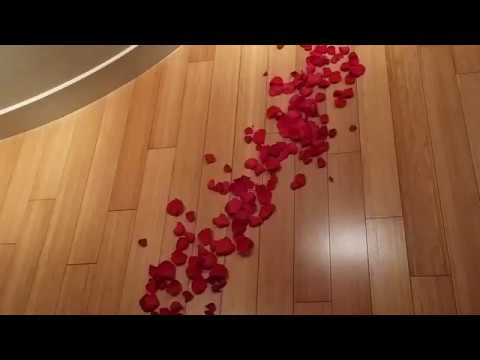 YouTube video about: Will hotels put rose petals on bed?