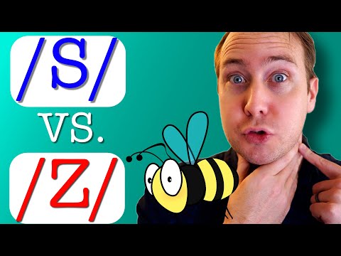How to Pronounce /S/ vs. /Z/ | Improve Your Accent & Speak Clearly