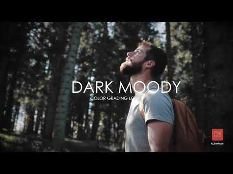 Moody dark Presets Ri  Adobe premiere pro color grading presets