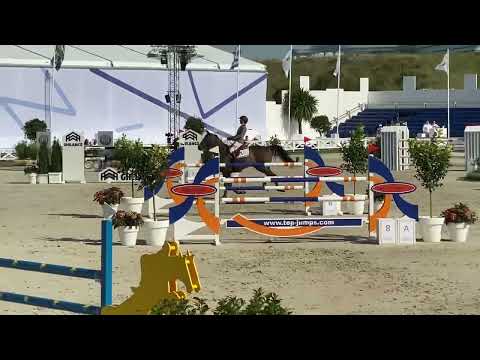 Fape Coseno Blue , gelding 2015 by Conthargos x Chacco Blue