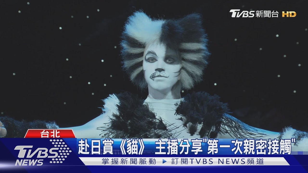劇迷回味「貓」魅力 台灣巡演七月啟動