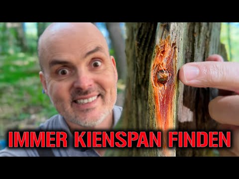 Simply find pinewood