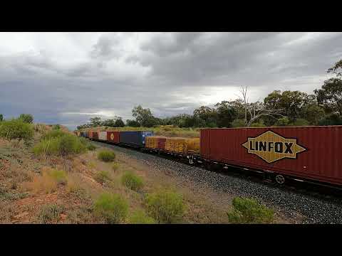NR46 & NR83 at Gunebang NSW.  Wed 10th Nov 2021