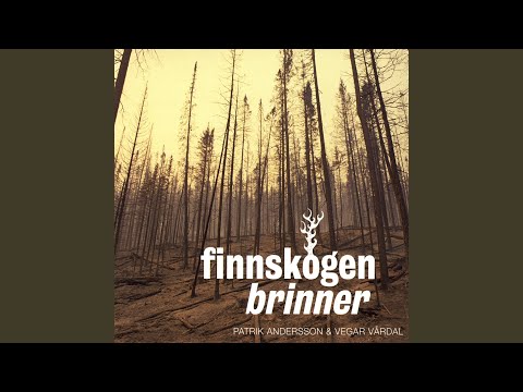 Pols, Elgåen I (Etter Tobias Elgåen)