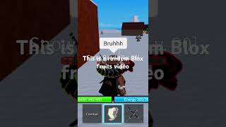 Random Blox fruits stuff