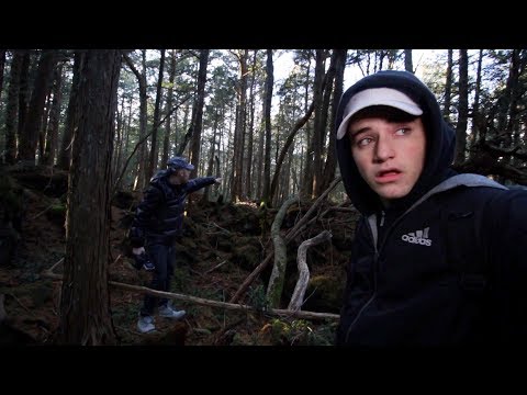 We flew to Japan to explore the Aokigahara  Forest (Warning: Extremely Scary)