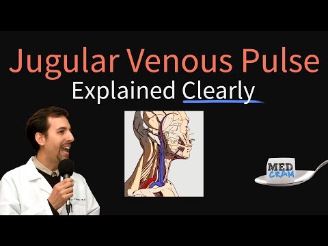 Jugular Venous Pulse (JVP) Explained Clearly - Evaluation, Waveforms, Interpretation