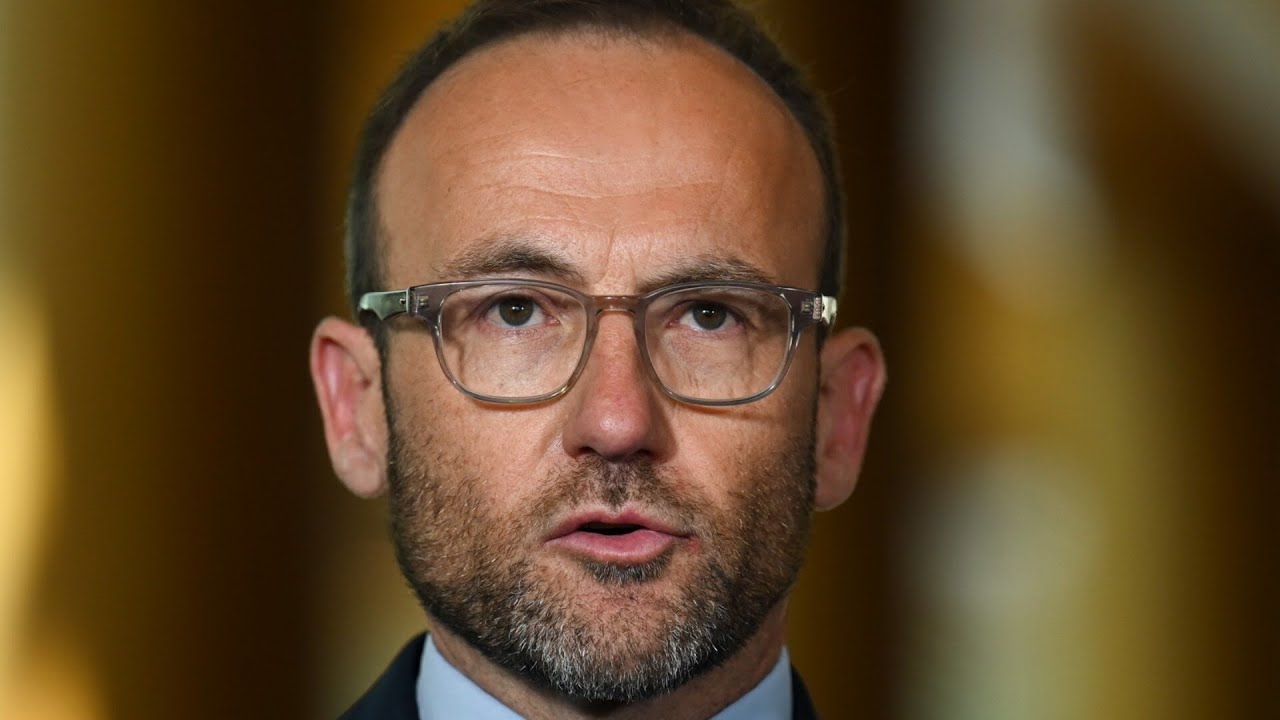'Shame on Bandt’: Greens leader blasted following loss of seat