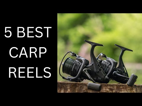 5 BEST CARP REELS | CARP FISHING REELS