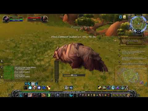 This Skinning Location Is Old But Gold! WoW Shadowlands 9.2 Gold Making Guide