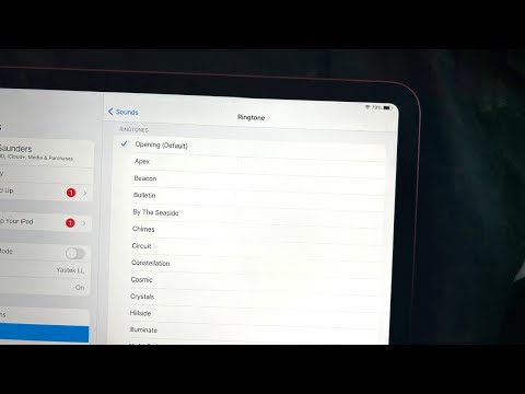 How To Change Ringtone on iPad 10th Generation!
