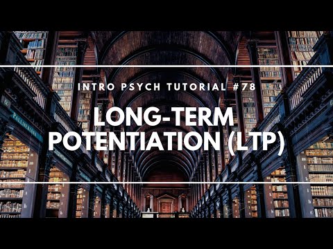 What is Psychology Intro Psych Tutorial 1