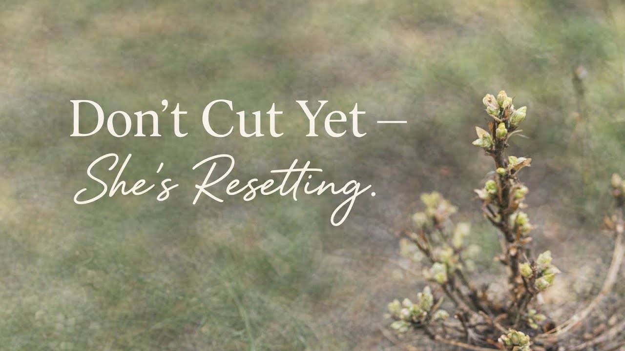 Hydrangea Not Blooming? Why You Shouldn’t Cut It Yet (Eclipse Hydrangea Care