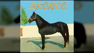Bronco Para que vivas tranquila