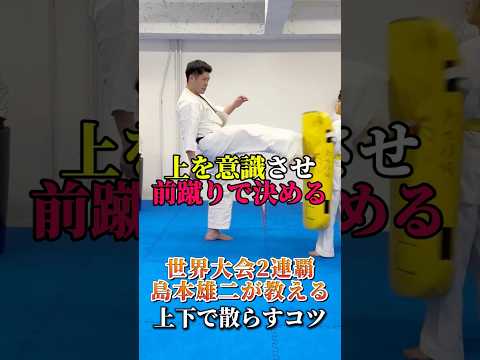 【当たる前蹴り】上下で散らすコツ #島本道場 #空手 #格闘技 #コンビネーション #karate #前蹴り #蹴り