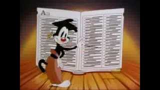 Animaniacs : All The Words in the English Language SONG !