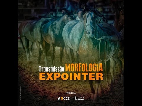 [ EXPOINTER 2019 ] Continuação do Julgamento Morfológico