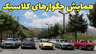 گربه های وحشی تهرانی! jaguar meeting