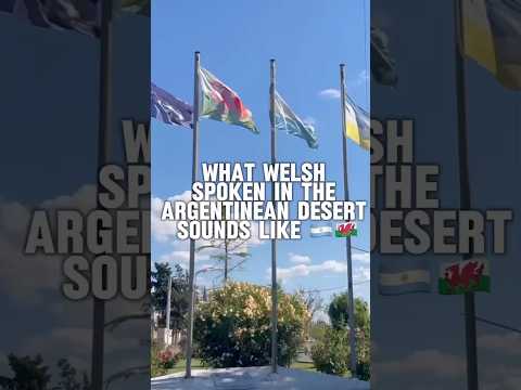 do they really soeak welsh in the desert?? 👀