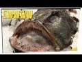 Man Used Fish Stomach For Dirty Deed Ft Nikki Limo DavidSoComedy