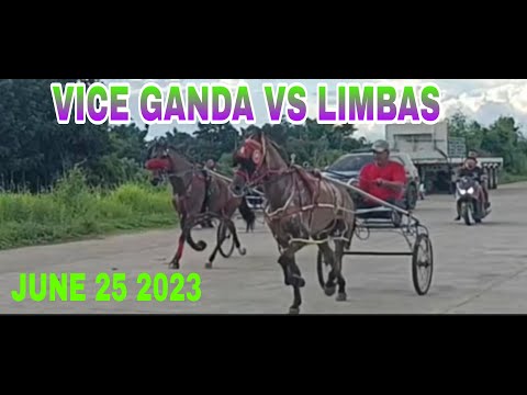 KARERA NG KABAYO JUNE 25 2023 LIMBAS VS VICE GANDA
