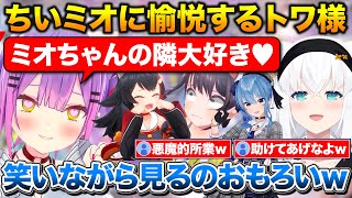 ユニバで泣き叫ぶミオしゃを見て愉悦するトワ様+スバルが手を握ってきた話【ホロライブ/常闇トワ/大空スバル/大神ミオ/白上フブキ/星街すいせい】