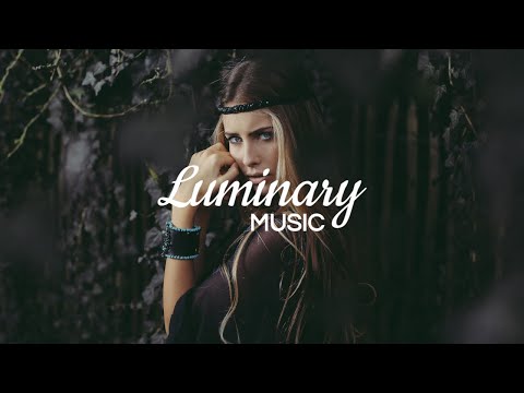Sascha Braemer ft. Anna Muller - You (Finnebassen Remix) [Zebralution]