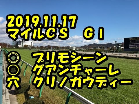 【競馬予想】2019.11.17　京都１１Ｒ　マイルＣＳ　ＧⅠ