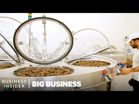 Why Snail Slime Is A $500 Million Industry | Big Business | Business Insider