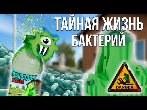 ЗАЧЕМ НУЖНЫ БАКТЕРИЙ В СЕПТИКЕ? И КАК ИХ НЕ УБИТЬ