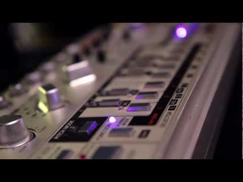 Free Download evilFish 303 for Ableton Live-DECiBEL