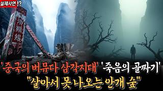 Download lagu [초자연 미제사건 ]나침반마저 거부하는 땅, 죽음의 골짜기가 35년간 숨겨온 비밀 mp3