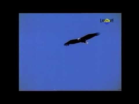 Thomas - Overture to Mignon (The Landscape Channel)