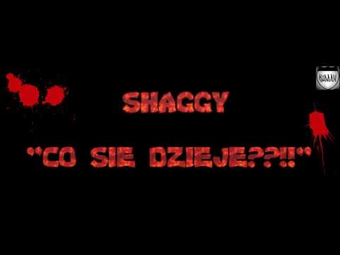 SHAGGY - CO SIĘ DZIEJE??!!