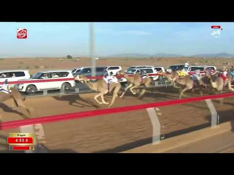 ش 15 (العاصفه) لـ عبدالله ماجد علي الماجد 6:11:43, مهرجان الشيخ محمد بن زايد2025/12/24 حقايق الذيد