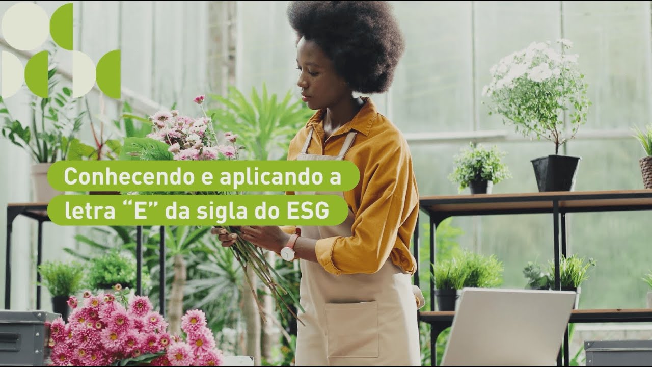 ESG para pequenos negócios: Ambiental