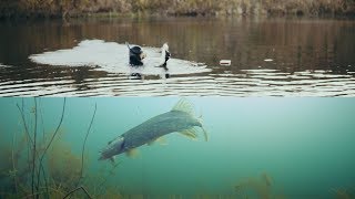 Хищник все для рыбалки и туризма тюмень