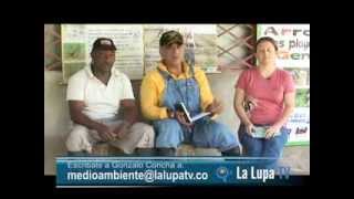 preview picture of video 'Asociación Calidris y el manejo de plagas en cultivos de arroz'