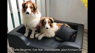 Lit pour Chien Canapé-lit Surélevé pour Petit Chien De Taille Moyenne, Cuir Noir, Imperméable